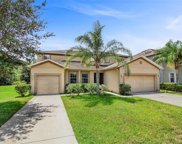 12133 Streambed Drive, Riverview image