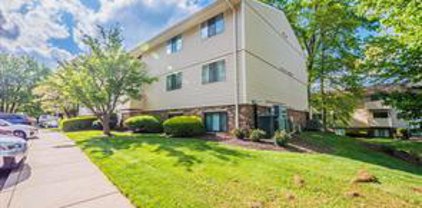 12417 Hickory Tree Way Unit #231, Germantown