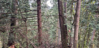 23 A N Summit Drive, Bellingham