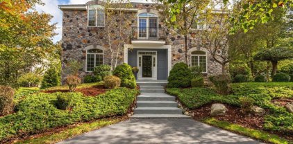 1 Lady Slipper Lane, Chelmsford