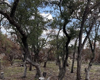TBD Wandering Oaks Drive, Burnet