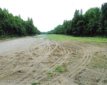 51452 S Parks Highway, Talkeetna
