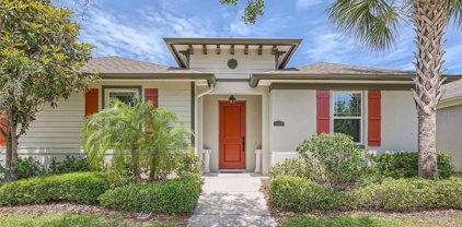 7017 Briarhill Court, Tampa