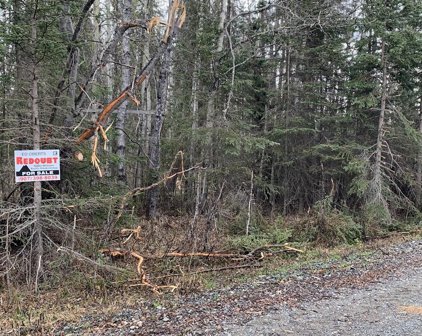 L9 B2 Pintail Avenue, Kenai