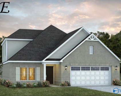 106 Williamette Drive, Madison