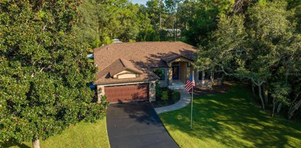 11376 Gyrafalcon Avenue, Weeki Wachee
