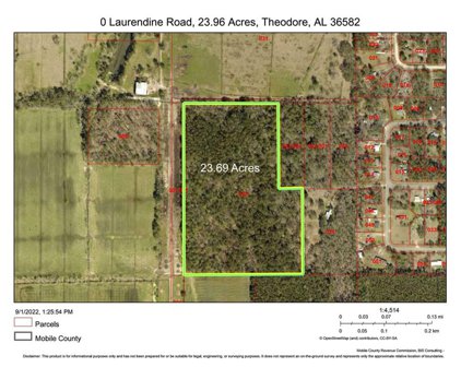Laurendine, Theodore