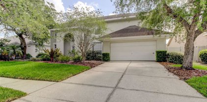 9401 Woodbay Drive, Tampa
