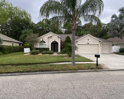 16132 Ivy Lake Drive, Odessa