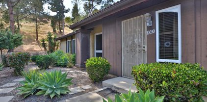 10030 Nuerto Lane, Spring Valley