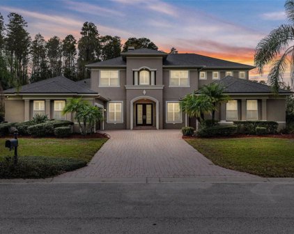 1419 Kensington Woods Drive, Lutz