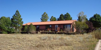700 Rose Drive, Las Vegas