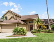 10250 Water Hyacinth Dr, Orlando image