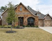19406 Sanctuary Place Drive, Spring image