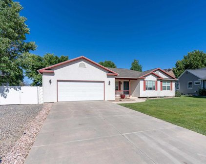 622 Moss, Palisade