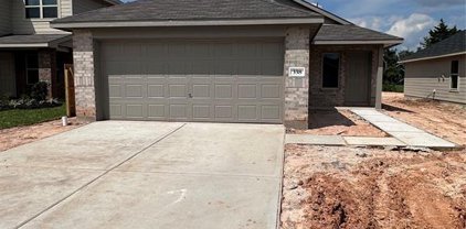 338 Riverwood Village Lane, Sealy