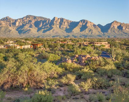 1398 W Stony Run Unit #204, Oro Valley