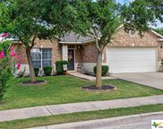 1205 Tricia Cove, Hutto image