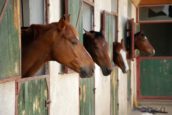 Horse property in Fargo Moorhead and West Fargo