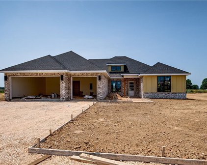 855 Bellagiola  Avenue, Tontitown
