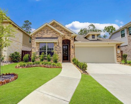 16879 Ramsay Cascades Drive, Humble