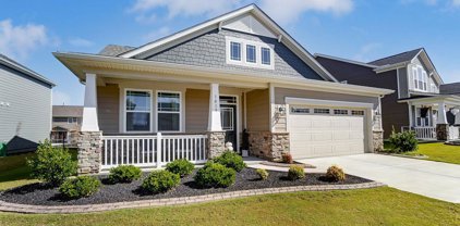 1019 Fairbrae  Lane, Indian Trail