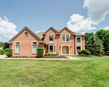 43882 PINOT NOIR, Sterling Heights