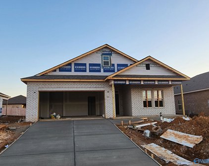 16266 Water Mill Road, Athens
