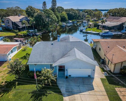 186 E Canal Drive, Palm Harbor