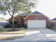 4610 Meridian Park Drive, Pearland image