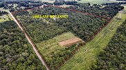 7025 Old 421 Road, Liberty image