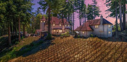 11025 Alba RD, Ben Lomond