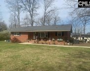 3048 Wessinger Road, Chapin image