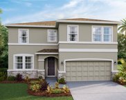 12425 Dora Trail, Parrish image