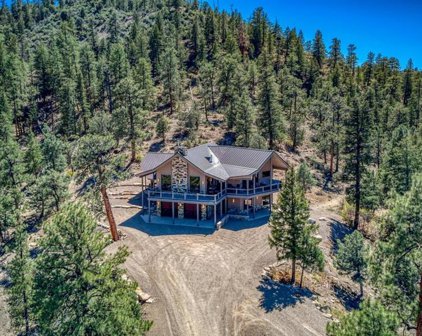 1001A County Road 917, Pagosa Springs