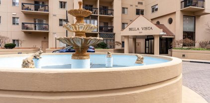 1211 S Eads St S Unit #1706, Arlington