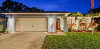 2396 Groveview Lane, Palm Harbor