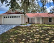 422 Allspice Court, Kissimmee image