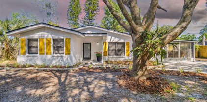 8007 Pine Hill Drive, Tampa