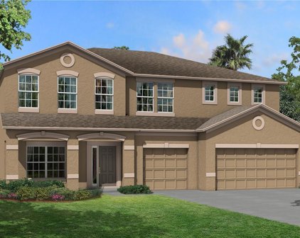 9508 Seagrass Port Pass, Wesley Chapel