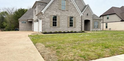 10886 Wiseman Drive, Olive Branch