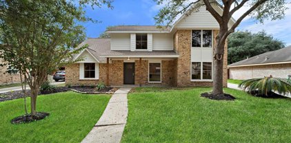 3107 Grove Terrace Drive, Kingwood