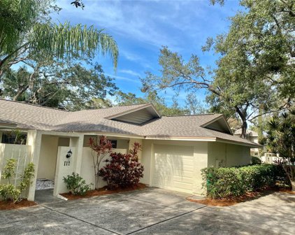 112 Parkside Colony Drive, Tarpon Springs