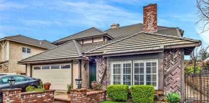 6226 E Allison Circle, Orange