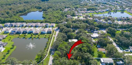 8701 Hart Lane, Tampa