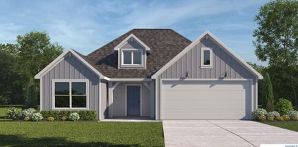 409 MERRIMAN Road, San Marcos