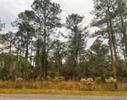 3000 W Higgins Place, Citrus Springs image