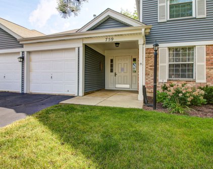 759 Sterling Court Unit #A-1, Bartlett