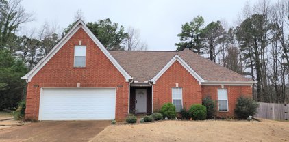 9564 Taylor Drive, Olive Branch
