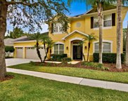 16113 Brecon Palms Place, Tampa image